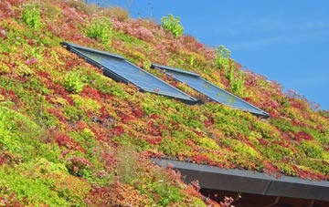 Foddington living roof systems