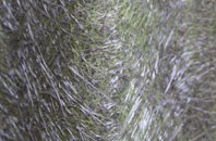 Foddington fibreglass roof work